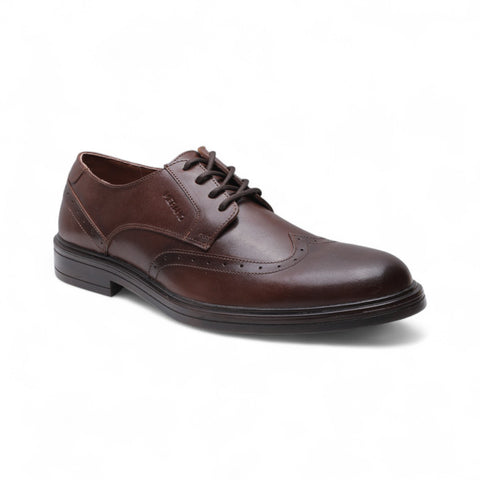 ZAPATO GOLDEN SHOES 45141 - 25/29
