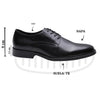 Zapato De Vestir Para Caballero Estilo 7683