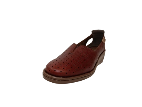 Estilo y Confort: Zapatos de Dama Modelo 4848